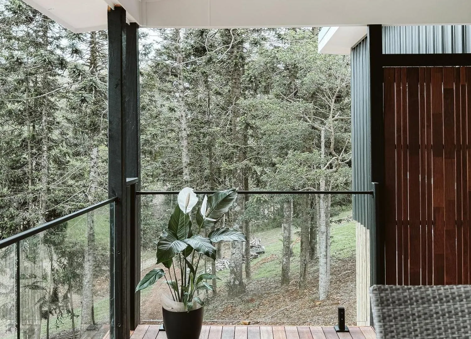 Private 3-Bedroom House Nestled High Amongst The Trees Maleny Austrálie