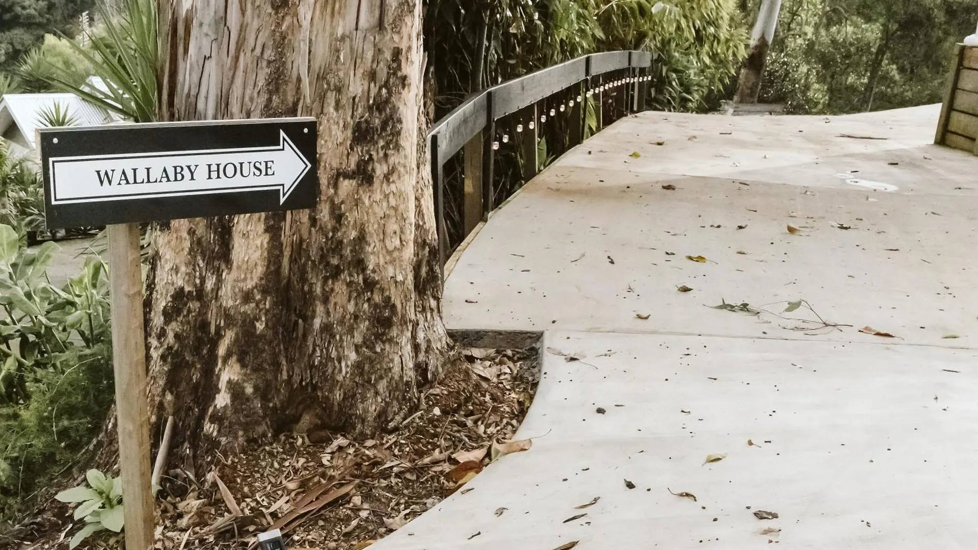 Private 3-Bedroom House Nestled High Amongst The Trees Maleny 0*,  Αυστραλία
