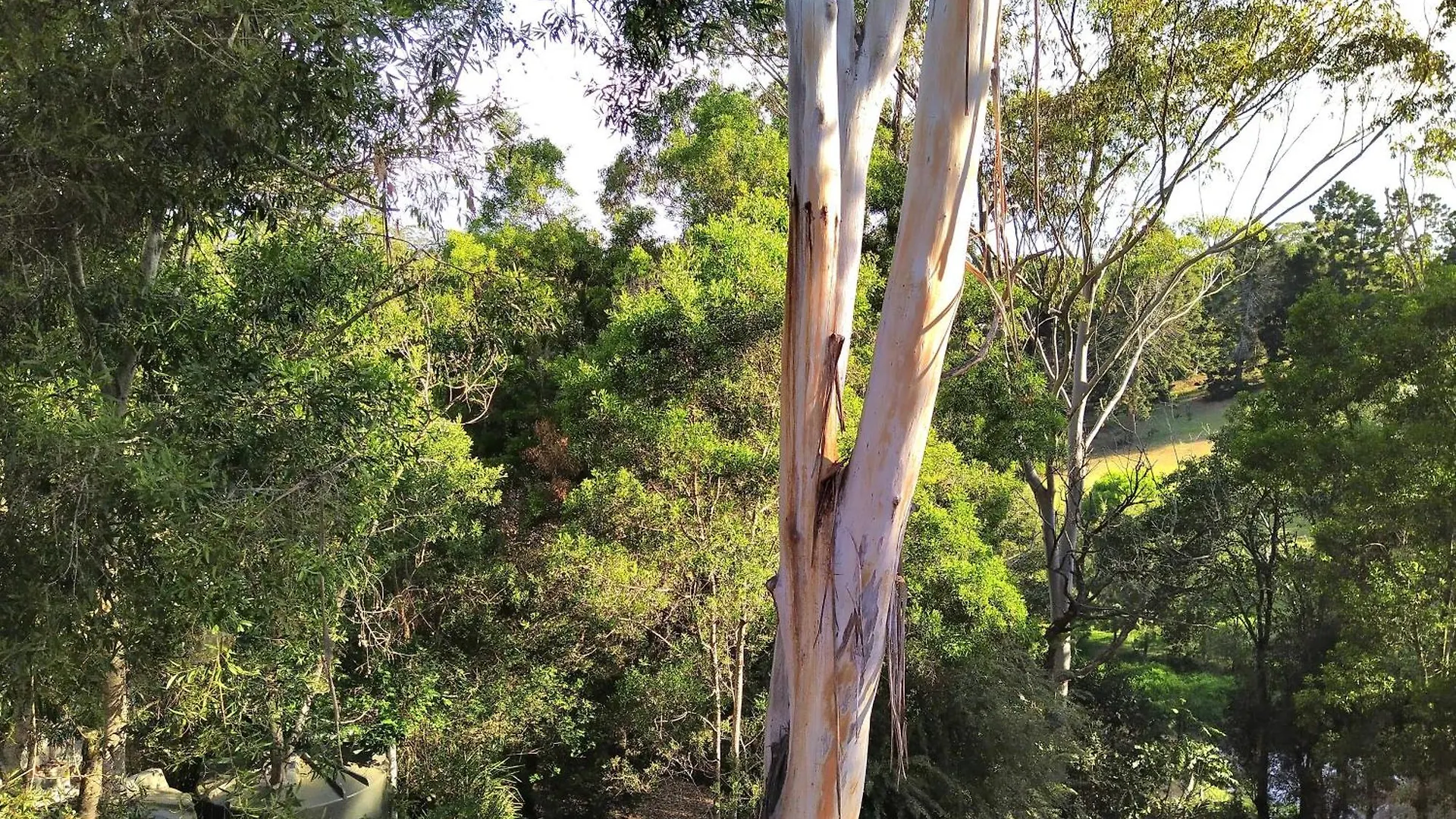 Σπίτι διακοπών Private 3-Bedroom House Nestled High Amongst The Trees Maleny Αυστραλία