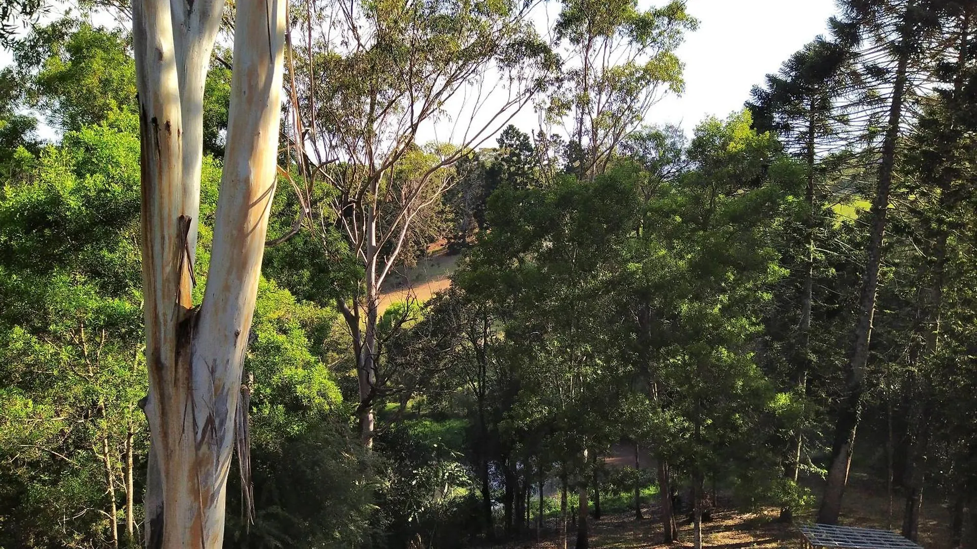 Σπίτι διακοπών Private 3-Bedroom House Nestled High Amongst The Trees Maleny