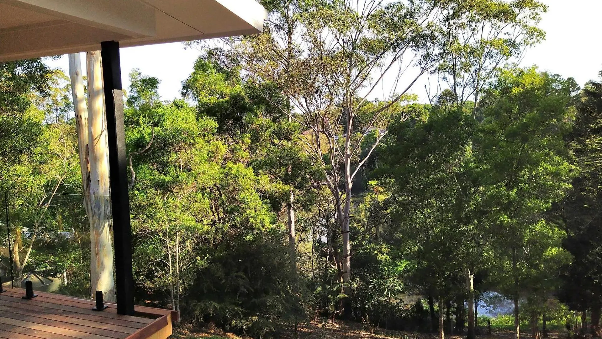 Private 3-Bedroom House Nestled High Amongst The Trees Maleny 0*,